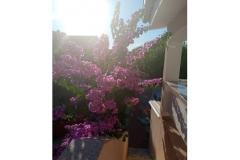 Apartmanok Galunić Apartman 1 – prizemlje foto 2