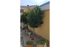 Ferienanlage Villa Ljiljana Apartman 2 – Bungalow foto 2