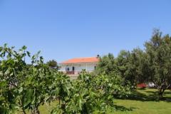 Apartmanok Liveric Apartman 3 – APP C foto 1