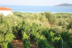 Antonela  Apartman 4 – Seaview D foto 4