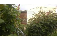 Apartmanok DANI Apartman 1 – HomeM. M4 foto 5