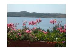Apartmanok Lora Apartman 2 – A2 foto 1