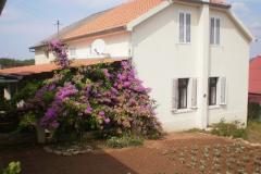 Ház Branka Apartman 1 – Kuća foto 1