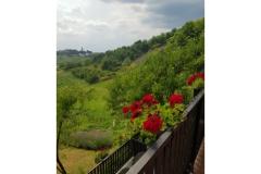 Apartmanok Potočki Apartman 1 – Apartman 1 foto 1