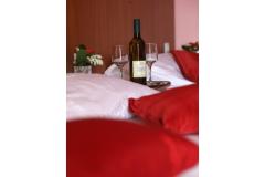 Hotel Zagi Szoba 3 – Trokrevetn foto 3