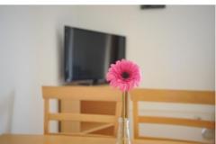 Appartement Graf Apartman 3 – Ap 2+3 foto 4
