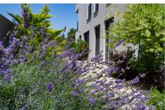 Villa Nina D Apartman 1 – Villa Nina foto 5