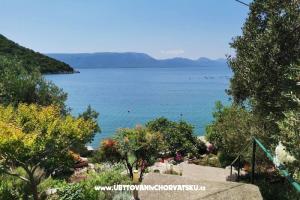 Apartmanok Maja – Blace