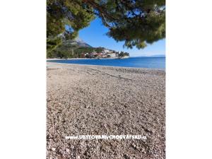 Apartman Anchy