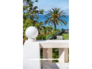 Villa Nelly