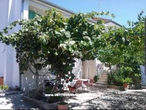 Apartman Marina