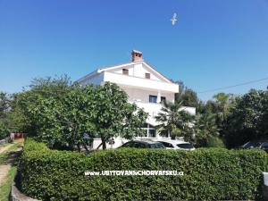 Apartmanok Otok Krk - Malinska