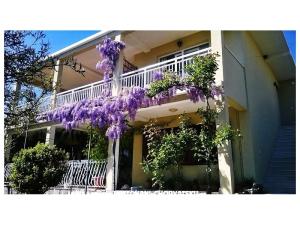 Apartmanok Marijela