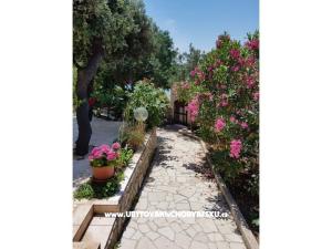 Apartmanok Milena i Robert
