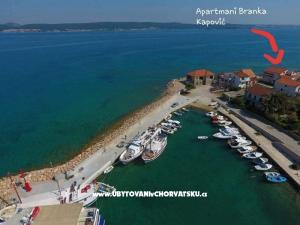 Apartmanok Branka