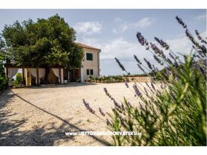 Apartmanok Andreja