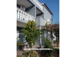 Apartmanok Ivica- Livi 