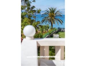 Villa Nelly