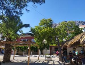 Apartmanok Plavi Jadran