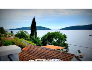Apartmanok Villa Riva Molunat