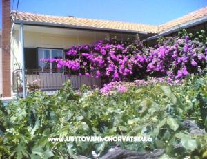 Apartmanok Liđa