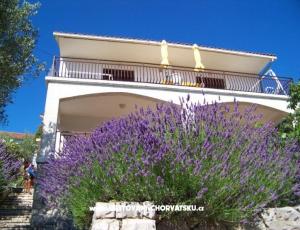 Apartmanok Stipišić