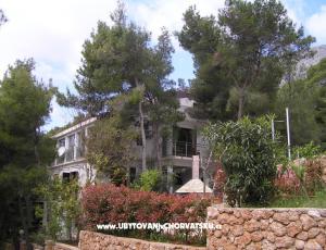 Apartmanok Villa Ypsilon
