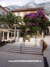 Apartmanok Potts Point