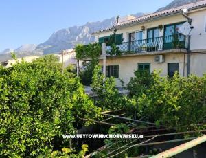 Apartmanok Vinea
