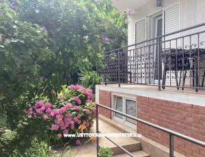 Apartmanok Rubinić 