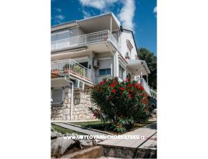 Apartmanok Ada