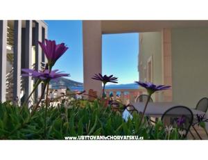 Apartmanok DaMa