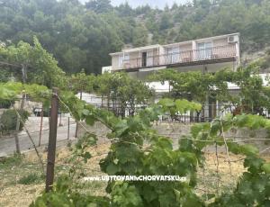 Apartmanok Stanic