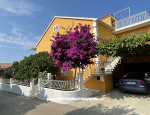 Apartmanok  Ante