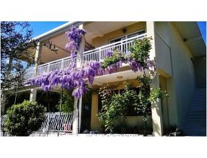 Apartmanok Marijela