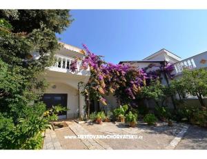 Apartmanok Kamelija