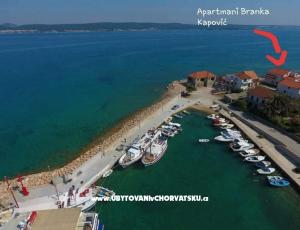 Apartmanok Branka