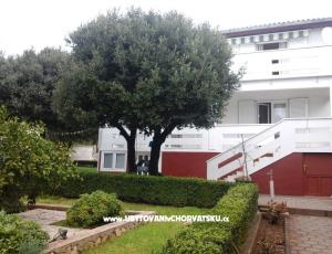 Apartmanok Neda 