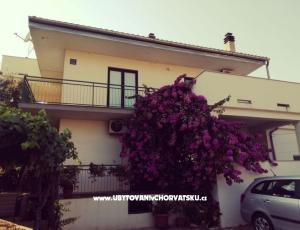 Apartmanok Danica