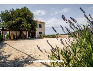 Apartmanok Andreja
