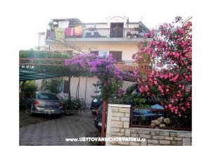 Apartmanok Ante