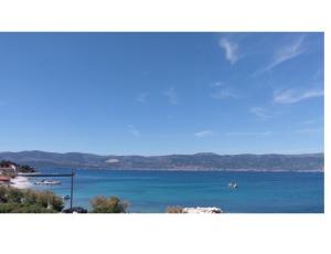 Apartman Tea Slatine