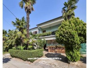 Apartmanok Boris