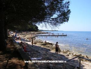 Apartmanok San Pelegrin