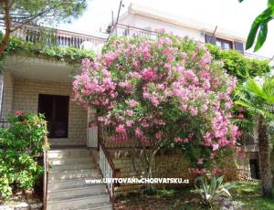 Apartmanok  IVAN  13.-23.08.