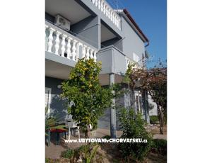 Apartmanok Ivica- Livi 