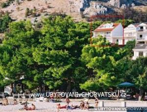 Apartmanok Ajduk
