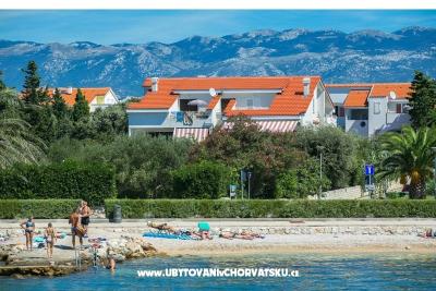 Apartmanok Ostrea