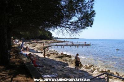 Apartmanok San Pelegrin