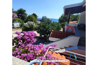 Apartmanok Delfin